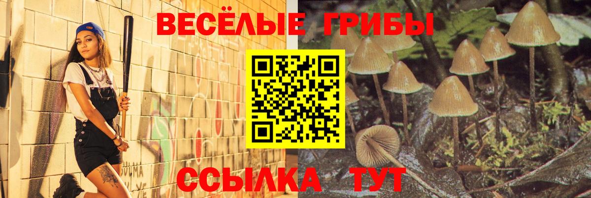 Псилоцибиновые грибы MAGIC MUSHROOMS  Галлюциногенные грибы мухоморы  Комсомольск-на-Амуре  Вход с VPN 
